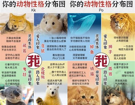 門長寬 動物性格分析